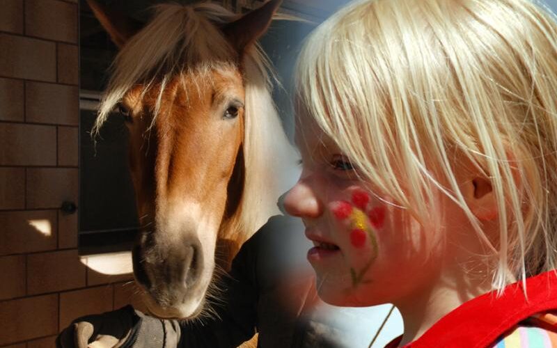 Ein Pferd in einem Stall steht neben einem blonden Kind mit Gesichtsbemalung und roten und gelben Blumen auf den Wangen.
