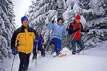 Vier winterlich gekleidete Personen gehen mit Schneeschuhen durch einen verschneiten Wald, der von schneebedeckten Bäumen umgeben ist.