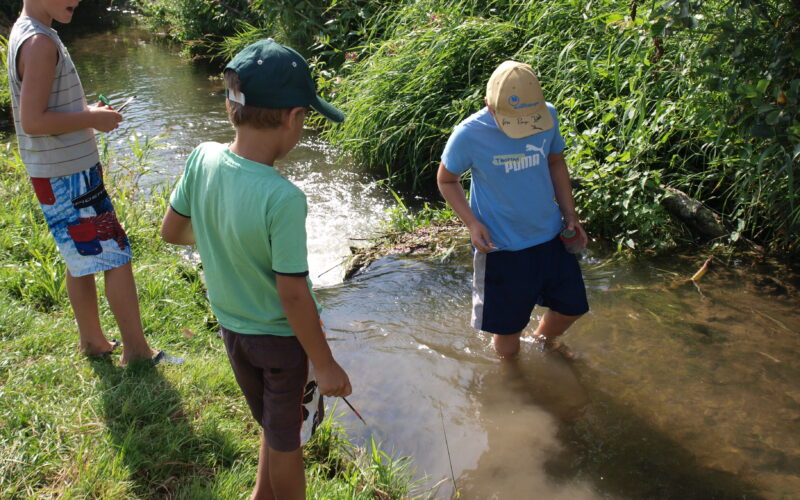 Drei Jungen stehen und spielen am Rand eines seichten Baches, umgeben von Grün und Sonnenlicht.