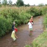 An einem sonnigen Tag stehen und spielen mehrere Kinder in einem flachen, grasbewachsenen Bach, umgeben von grüner Vegetation.