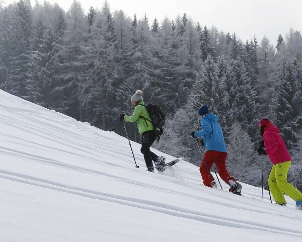 Drei Personen in Winterkleidung wandern mit Trekkingstöcken bergauf durch den Schnee, umgeben von schneebedeckten Bäumen.