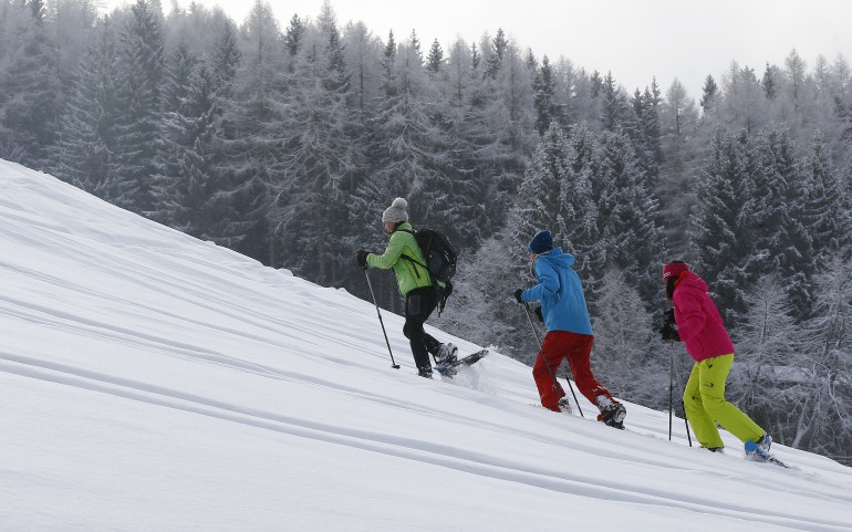 Drei Personen in Winterkleidung wandern mit Trekkingstöcken bergauf durch den Schnee, umgeben von schneebedeckten Bäumen.
