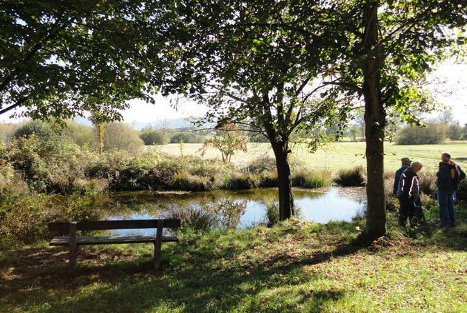 Eine kleine Gruppe von Menschen steht im Schatten von Bäumen in der Nähe eines Teichs, im Vordergrund eine Holzbank und im Hintergrund offene Felder.