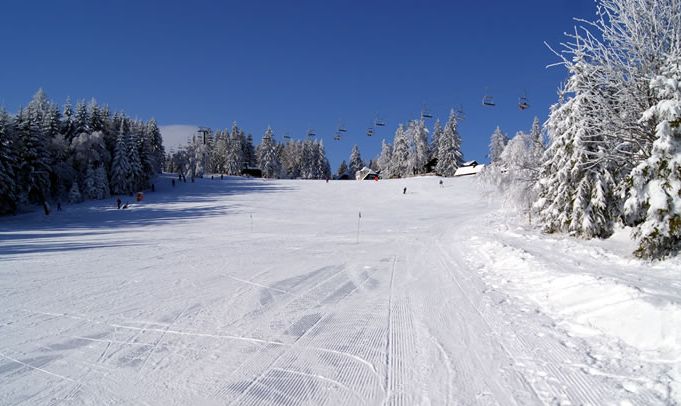 Eine schneebedeckte Skipiste mit Skispuren, umgeben von Bäumen und mehreren Skiliften im Hintergrund unter einem klaren blauen Himmel.