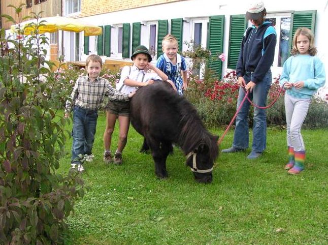 Vier Kinder stehen in der Nähe eines kleinen schwarzen Ponys, das im Gras grast, während ein Erwachsener seine Leine hält. Im Hintergrund ist ein Gebäude mit grünen Fensterläden und einem Garten zu sehen.