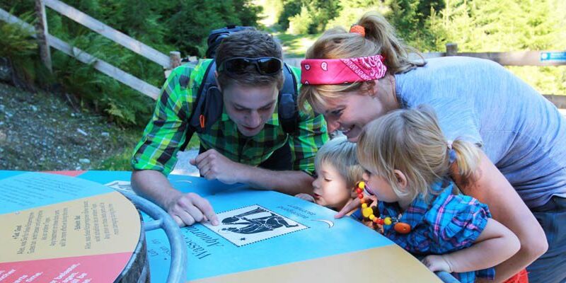 Zwei Erwachsene und zwei Kinder untersuchen an einem sonnigen Tag im Freien, umgeben von Grün und einem Holzzaun, eine Informationstafel genau.