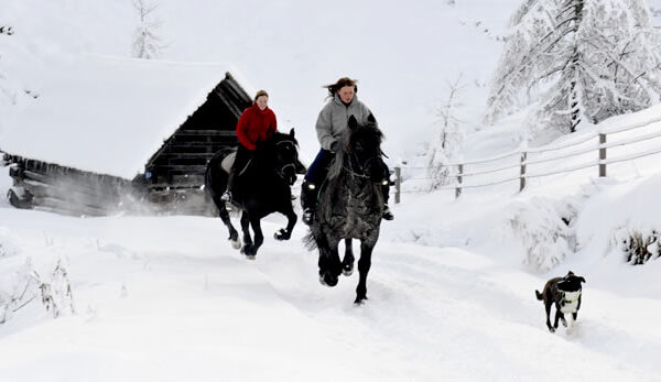 Zwei Personen reiten auf einem verschneiten Pfad neben einer Holzhütte, gefolgt von einem Hund, mit schneebedeckten Bäumen und einem Zaun im Hintergrund.