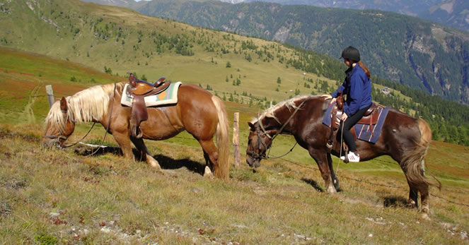 Eine Person mit Helm sitzt auf einem braunen Pferd, während ein anderes braunes Pferd in der Nähe in einer grasbewachsenen Berglandschaft grast.