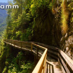 Ein Holzsteg führt durch die felsige, enge Vorderkaserklamm, umgeben von viel Grün und steilen Felswänden unter blauem Himmel.