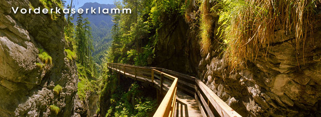 Ein Holzsteg führt durch die felsige, enge Vorderkaserklamm, umgeben von viel Grün und steilen Felswänden unter blauem Himmel.