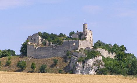 Die Ruinen einer Steinburg mit einem runden Turm stehen auf einem felsigen Hügel, umgeben von Bäumen und einem Feld unter einem klaren blauen Himmel.