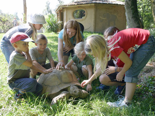 Eine Gruppe von Kindern und ein Erwachsener berühren und beobachten eine große Schildkröte im Freien in der Nähe eines runden Gebäudes.