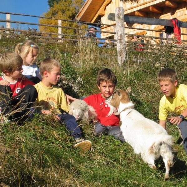 Fünf Kinder sitzen auf einem grasbewachsenen Hügel und streicheln eine Ziege und ein Lamm. Im Hintergrund sind ein Holzzaun und ein Haus zu sehen.
