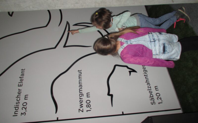 Zwei Kinder zeigen auf einen illustrierten Größenvergleich von Tieren an einer Wand, darunter ein Indischer Elefant, ein Zwergmammut und ein Säbelzahntiger, wobei ihre Körpergrößen angegeben sind.