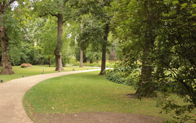 An einem bewölkten Tag führt ein geschwungener Schotterweg durch einen grünen Park mit hohen Bäumen, Gras und Büschen.