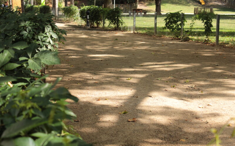 Ein von grünen Pflanzen und einem niedrigen Zaun gesäumter Feldweg führt durch einen sonnendurchfluteten Park mit Bäumen und Gras im Hintergrund.