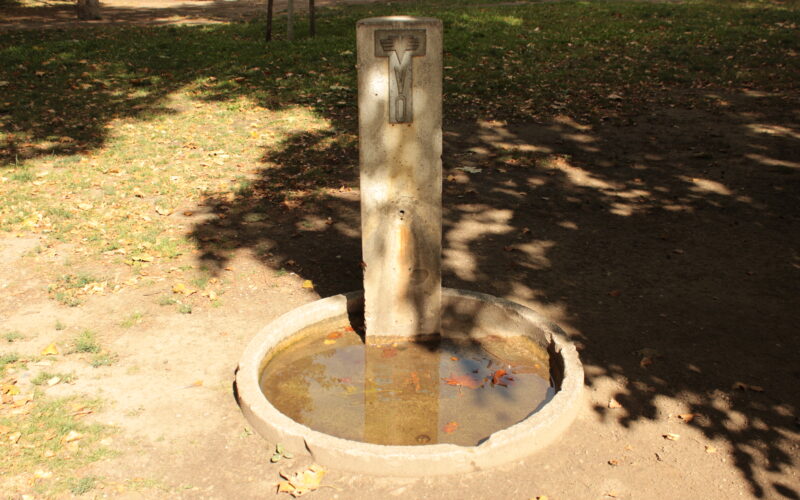 Ein Trinkbrunnen aus Beton im Freien steht über einem flachen, runden Becken, das mit Wasser und Laub gefüllt ist und von Gras und Erdflecken umgeben ist.