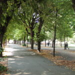 Ein von Bäumen gesäumter Parkweg mit verstreuten trockenen Blättern auf dem Boden und mehreren Spaziergängern im Hintergrund.