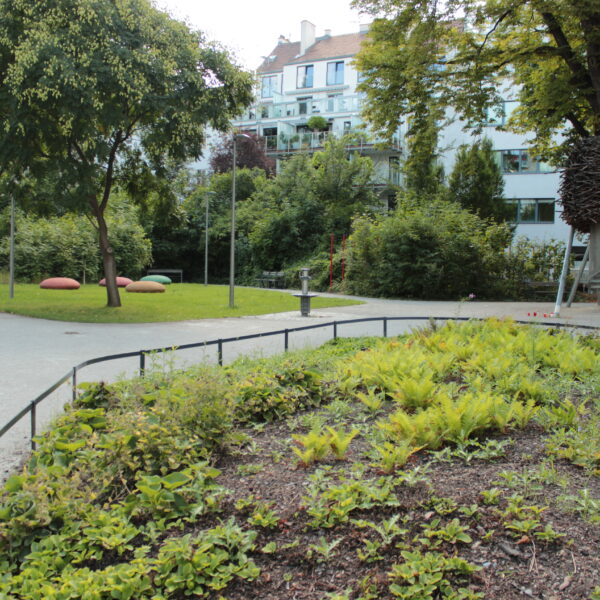 Ein kleiner Stadtpark mit grünen Sträuchern, Bäumen, einem gepflasterten Weg, großen Steinen und einer Metallkonstruktion mit dunklem, nestartigem Aussehen auf Stelzen. Im Hintergrund sind Wohnhäuser zu sehen.