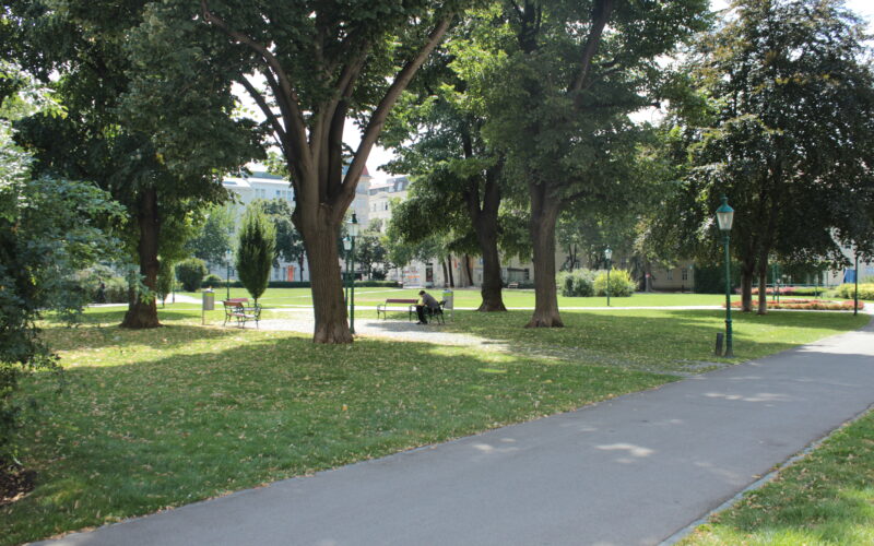 Ein gepflasterter Weg führt durch einen Park mit grünem Gras, hohen Bäumen, Bänken und einer Person, die im Schatten auf einer Bank sitzt. Im Hintergrund sind Gebäude zu sehen.
