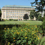 An einem sonnigen Tag steht hinter einem grünen Rasen und gelben Blumen ein großes, beiges Steingebäude mit vielen Fenstern.