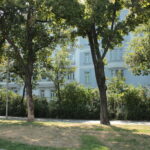 Eine Reihe ausgewachsener Bäume säumt einen Gehweg vor einem hellblauen Wohngebäude mit mehreren Fenstern und Hecken.