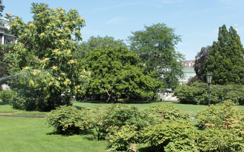 Ein Park mit üppigem grünem Gras, verschiedenen Bäumen, Sträuchern und einem Laternenpfahl unter einem klaren blauen Himmel.
