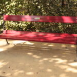 Eine rote Holzbank mit schwarzen Metallarmlehnen steht auf einem unbefestigten Weg, umgeben von grünen Sträuchern im Sonnenlicht.