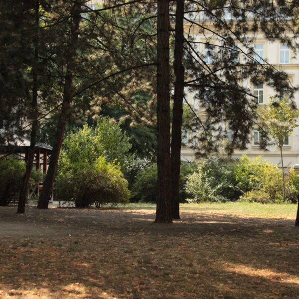 Ein Stadtpark mit hohen Bäumen, trockenem Gras, Bänken und einem Pavillon, im Hintergrund ist ein mehrstöckiges Gebäude zu sehen.