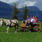 Ein Esel zieht einen Karren, auf dem sechs Kinder sitzen; ein Alpaka steht neben dem Karren auf einer grasbewachsenen Wiese mit Bergen im Hintergrund.