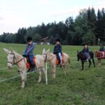 Vier Kinder reiten im Gänsemarsch auf einem Esel über eine Wiese, mit Bäumen und einem Haus im Hintergrund. Sie tragen Jacken und Hüte.