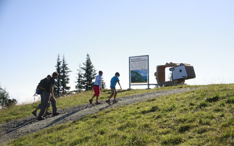 Drei Personen gehen auf einem Kiesweg bergauf in Richtung eines Informationsschildes und einer großen dekorativen Kofferkonstruktion auf einer Wiese mit Bäumen im Hintergrund.