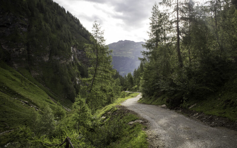 Ein Schotterweg schlängelt sich durch eine grüne, bewaldete Berglandschaft unter einem bewölkten Himmel.