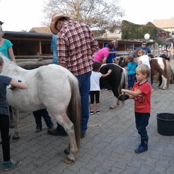 Kinder und Erwachsene striegeln Ponys in einem Außenbereich mit Ställen und Gebäuden im Hintergrund.
