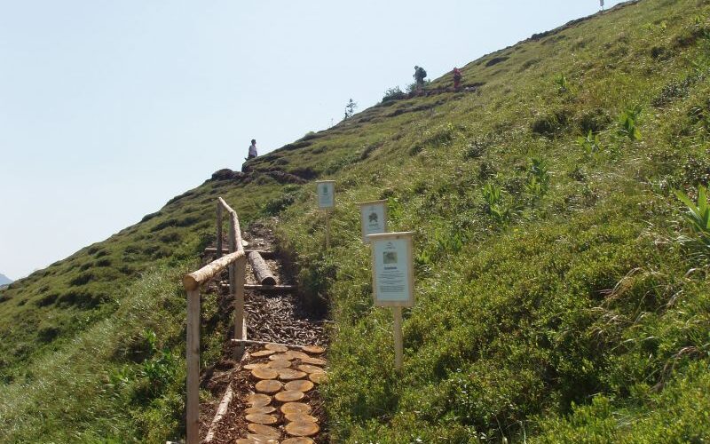 Schotterweg mit Holzstufen und Handlauf, der einen grasbewachsenen Hügel hinaufführt, mit Hinweisschildern entlang des Weges. Weiter oben auf dem Hügel ist eine Person zu sehen.
