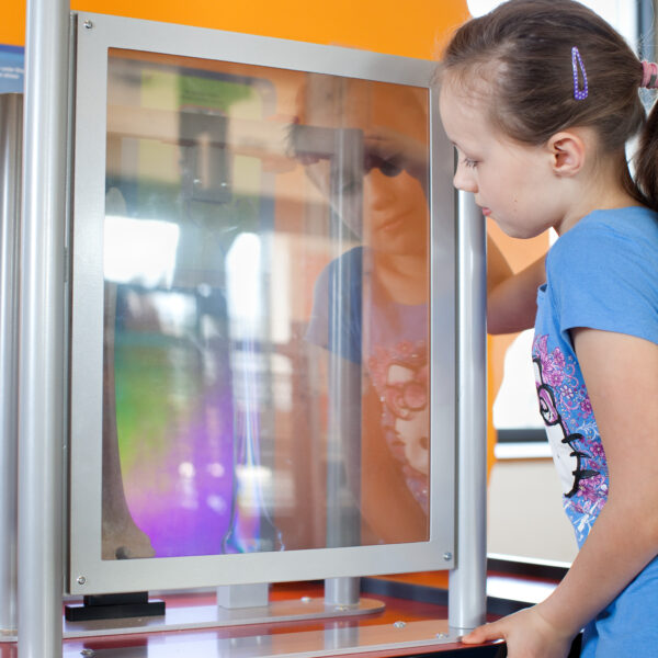 Ein junges Mädchen in einem blauen Hemd betrachtet ein wissenschaftliches Exponat durch eine transparente Scheibe, mit orangefarbenen Silhouetten im Hintergrund.