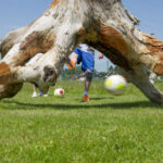 Eine Person kickt einen Fußball unter einem großen, umgestürzten Baumstamm auf einer Wiese an einem sonnigen Tag. Zwei Fußbälle sind auf dem Boden zu sehen.