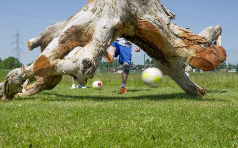 Eine Person kickt einen Fußball unter einem großen, umgestürzten Baumstamm auf einer Wiese an einem sonnigen Tag. Zwei Fußbälle sind auf dem Boden zu sehen.