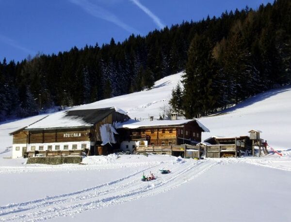 Eine rustikale Holzhütte liegt neben einem schneebedeckten Feld mit Schlittenspuren, umgeben von einem dichten, immergrünen Wald unter einem strahlend blauen Himmel.