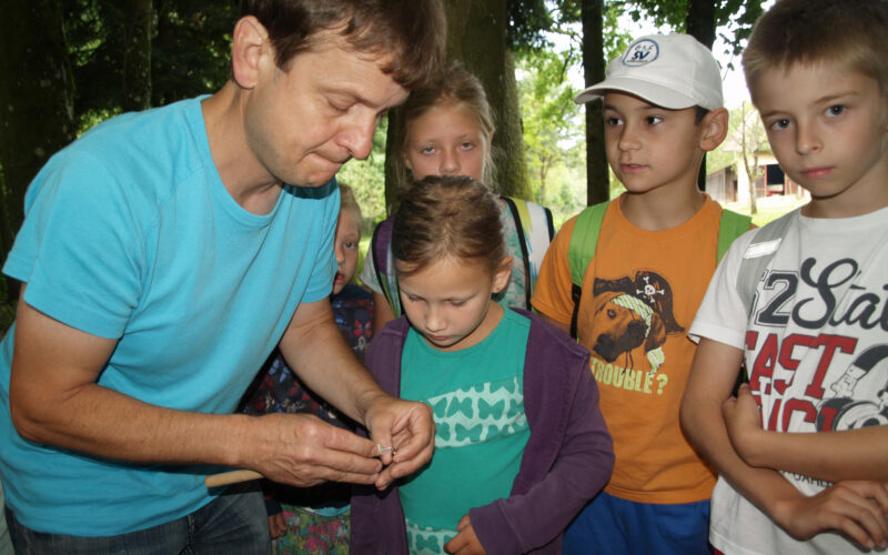 Ein Erwachsener steht im Freien zwischen Bäumen und zeigt einer Gruppe von Kindern einen Gegenstand, den er in der Hand hält. Die Kinder schauen aufmerksam zu.
