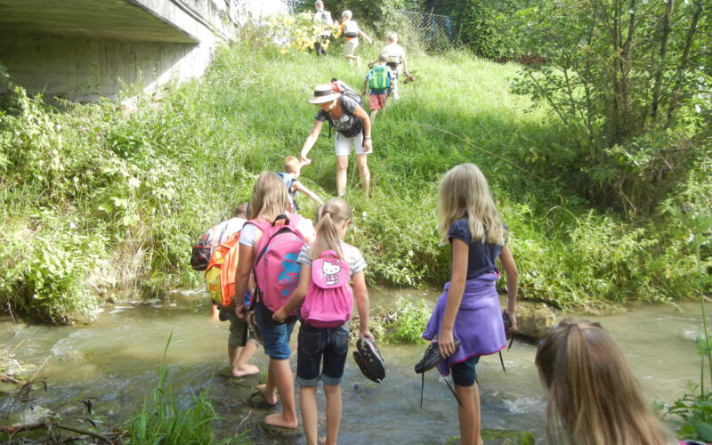 Eine Gruppe von Kindern mit Rucksäcken, angeführt von einem Erwachsenen, überquert bei einer Wanderung barfuß auf einem Grasweg einen seichten Bach.