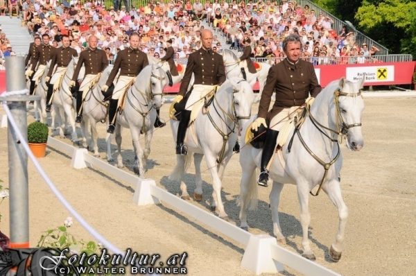 Eine Gruppe von Reitern in braunen Uniformen paradiert auf weißen Pferden in einer Freiluftarena vor einem sitzenden Publikum.