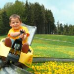 Ein kleiner Junge fährt mit einer gelben Alpenachterbahn auf einer Metallschiene, umgeben von einem Feld mit gelben Blumen und Bäumen.