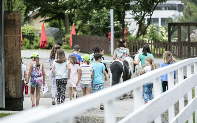 Eine Gruppe von Kindern geht gemeinsam auf einem Pfad in der Nähe eines Ponys auf einem Bauernhof spazieren, beaufsichtigt von Erwachsenen, mit Bäumen und einem weißen Zaun in der Nähe.