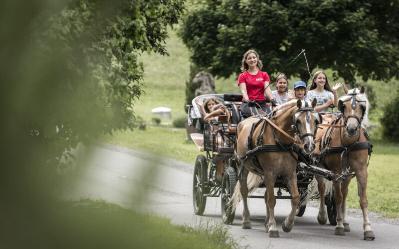 Eine Gruppe von Menschen fährt in einer Pferdekutsche über einen gepflasterten Weg, der von Gras und Bäumen gesäumt ist.