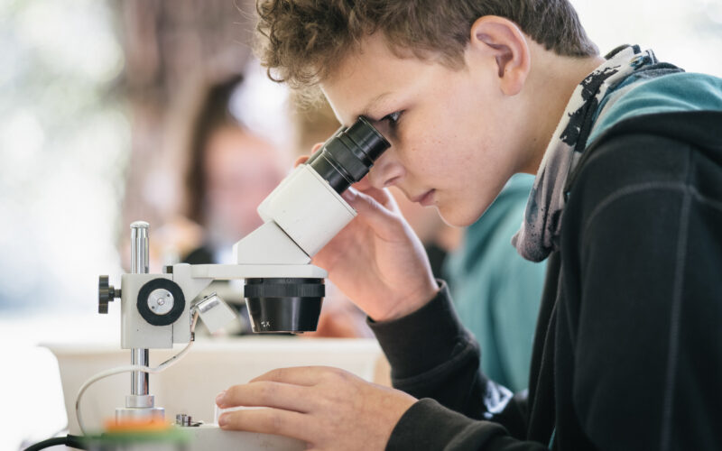 Ein Junge untersucht an einem Tisch eine Probe unter dem Mikroskop. Im Hintergrund sind unscharfe Menschen und eine Landschaft im Freien zu sehen.