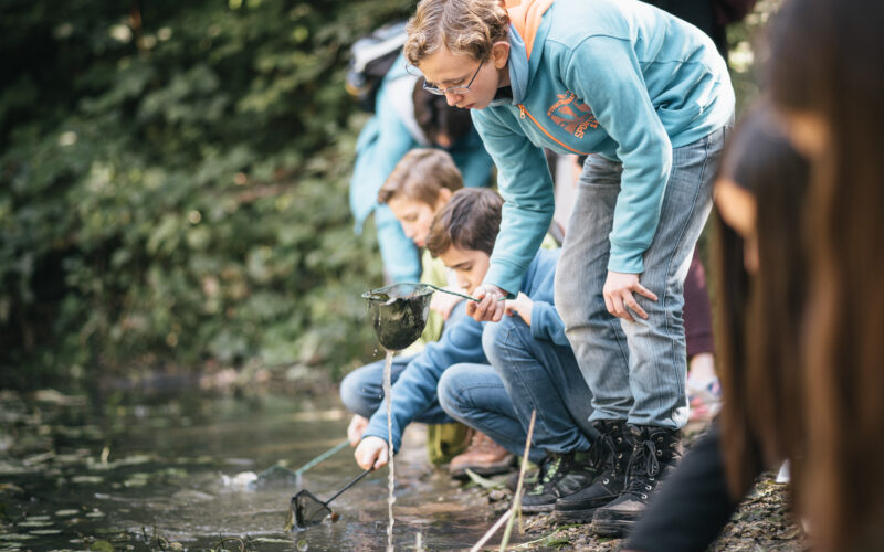 Mehrere Kinder hocken an einem Teich und verwenden Netze, um Gegenstände im Wasser zu sammeln oder zu beobachten, während sie von Grün umgeben sind.