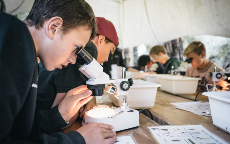 Mehrere junge Schüler sitzen an einem Tisch und untersuchen Proben unter dem Mikroskop. Vor ihnen liegen Arbeitsblätter und Behälter, unter einem weißen Baldachin.