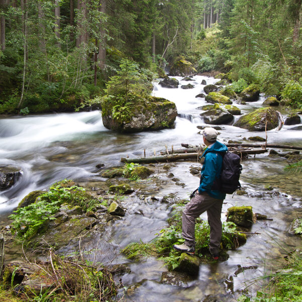 Eine Person, die Outdoor-Kleidung und einen Rucksack trägt, steht auf Felsen neben einem fließenden Fluss in einem dichten, grünen Wald.