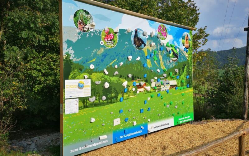 Ein großes Schild mit Illustrationen und Fotos zeigt Informationen über lokale Pflanzen und Tiere vor einer Kulisse aus Bäumen und Bergen.